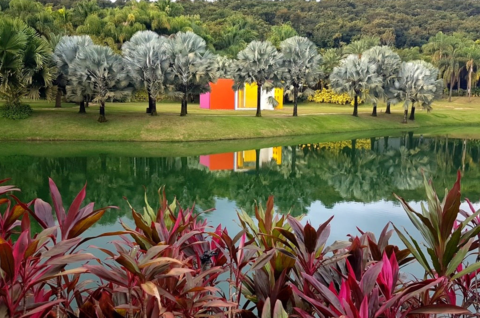 Estamos Pertinho </br>do Inhotim