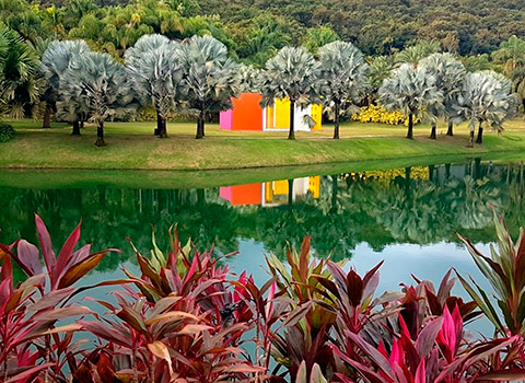 Estamos Pertinho do Inhotim 